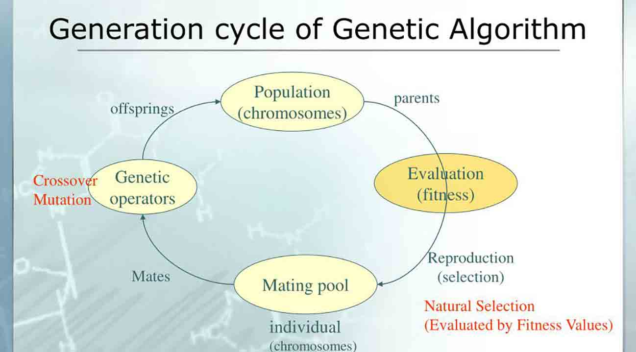 Genetic Algorithm.jpg